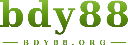 bdy88 logo